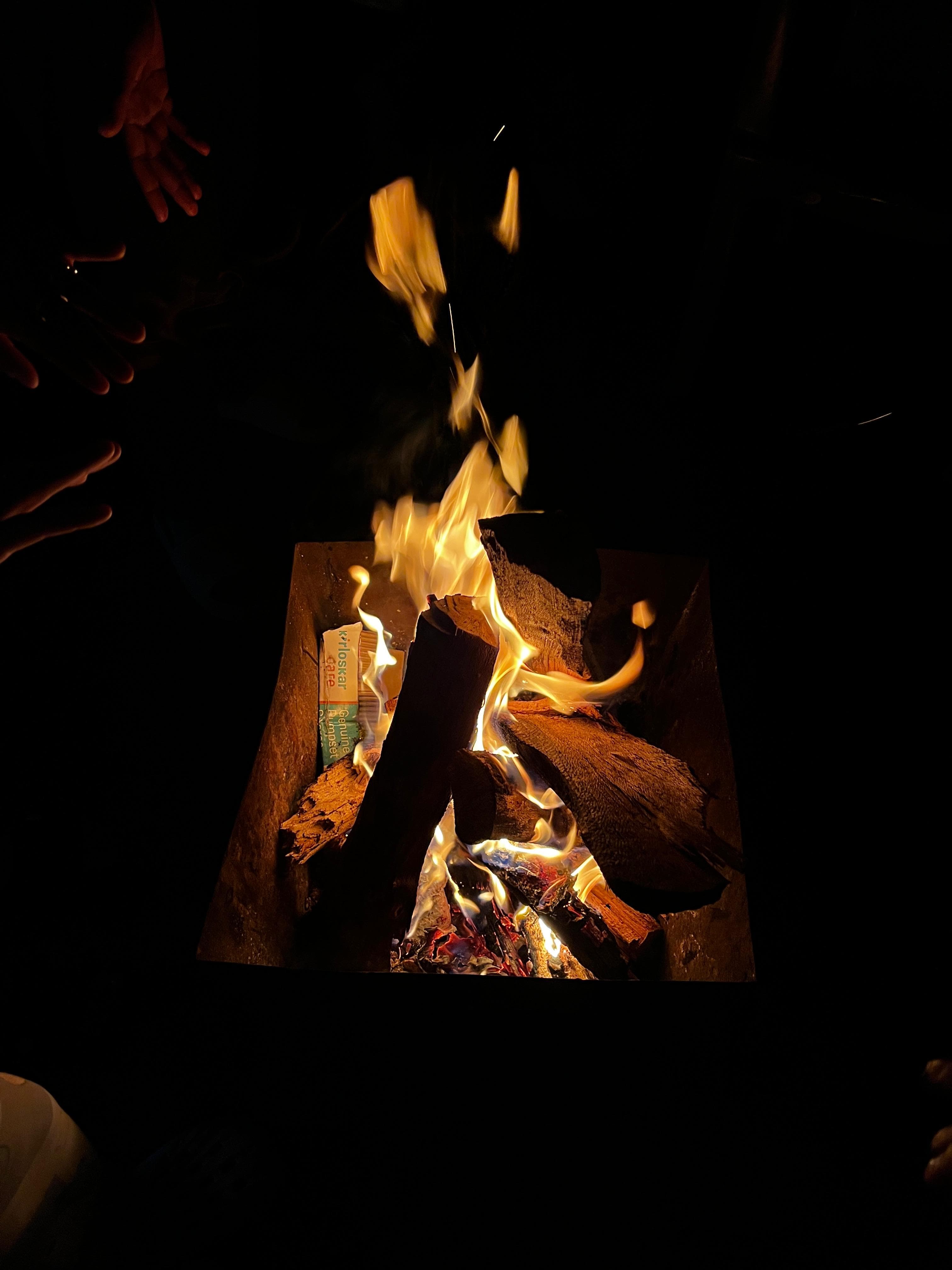 Chikmagalur Peak Trails photo 3