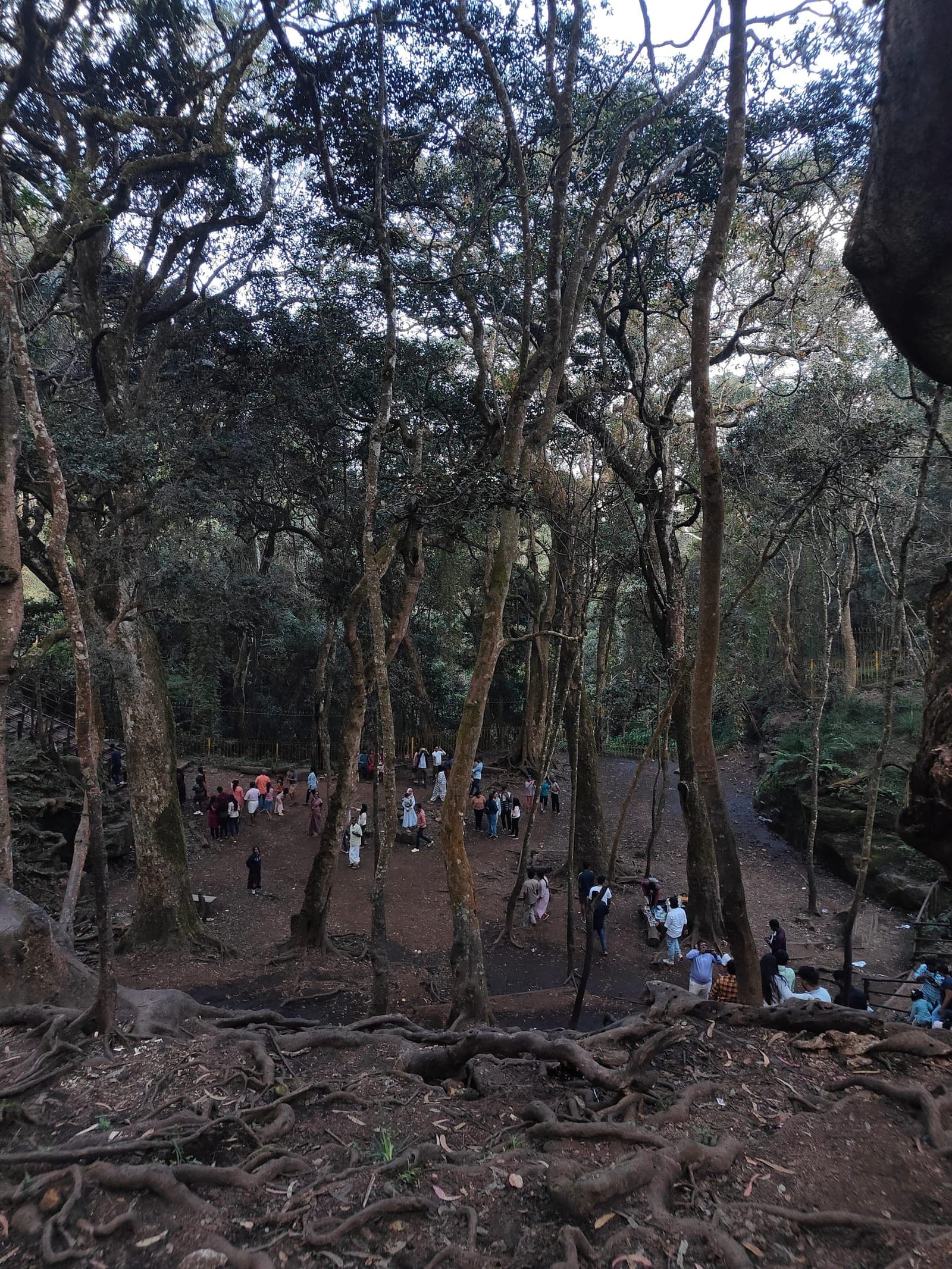 Kodaikanal Travel Guide: The Enchanting Princess of Hill Stations gallery image 2
