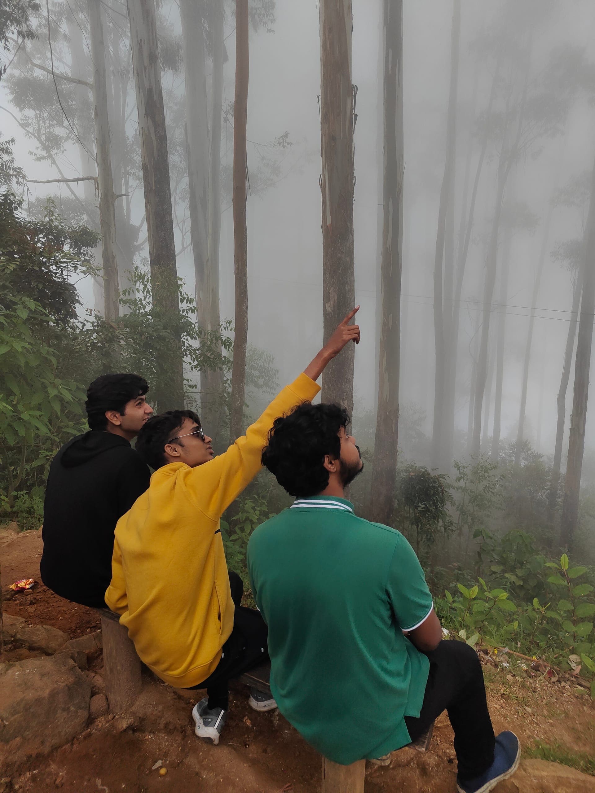 Kodaikanal Nature Escape photo 3